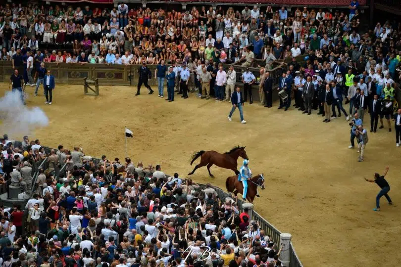 prova-generale-palio-luglio-2024-21