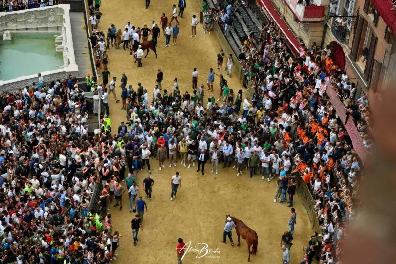prova-generale-palio-luglio-2024-23