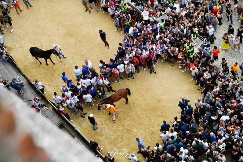 prova-generale-palio-luglio-2024-25