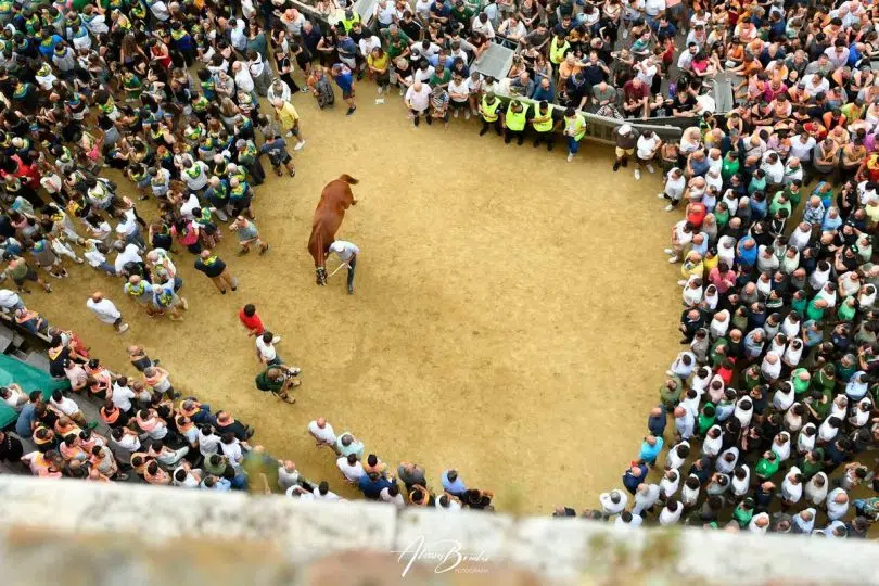 prova-generale-palio-luglio-2024-27