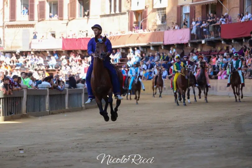 provaccia-palio-luglio-2024-07