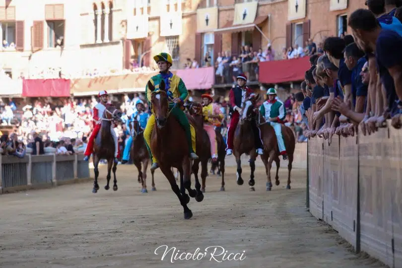 provaccia-palio-luglio-2024-08