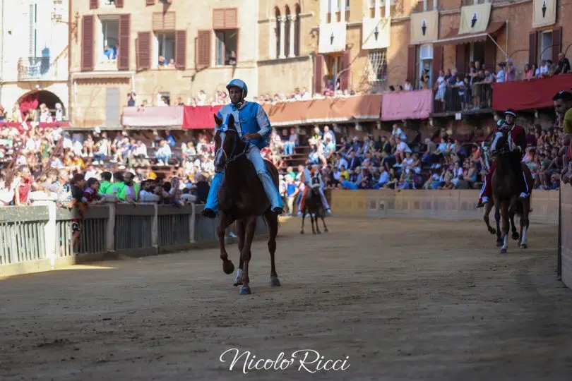 provaccia-palio-luglio-2024-14