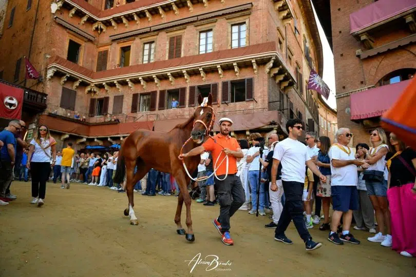 quarta-prova-palio-luglio-2024-2-06