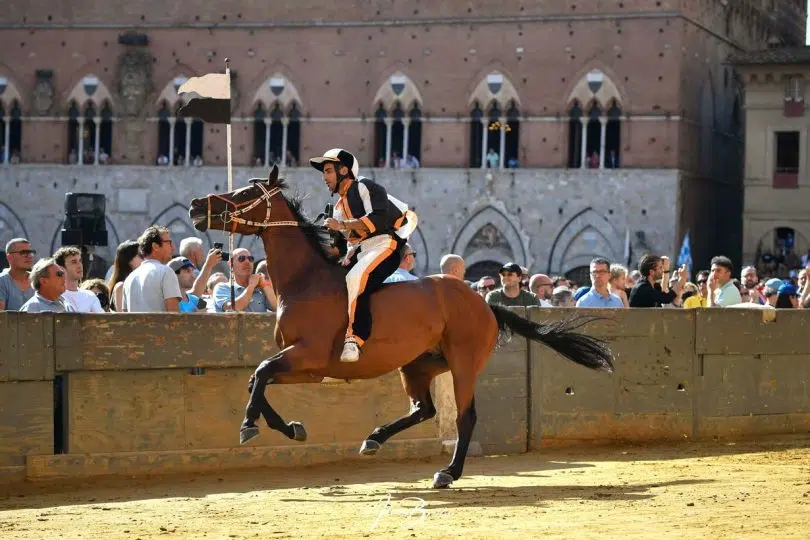quarta-prova-palio-luglio-2024-2-24