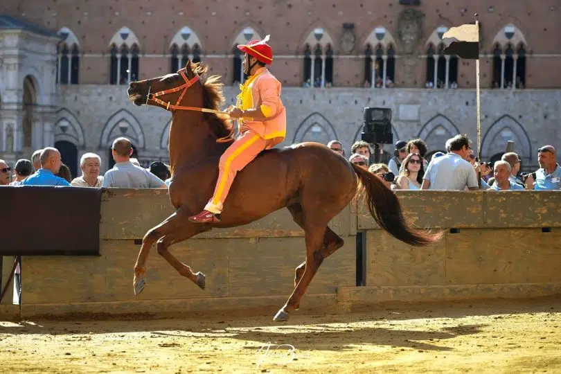 quarta-prova-palio-luglio-2024-2-25