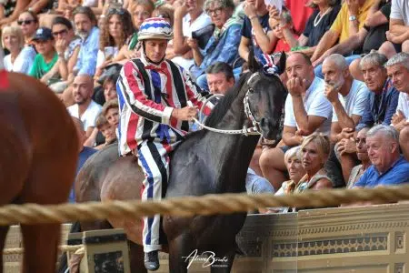 Palio di Siena del 16 agosto 2024, Istrice