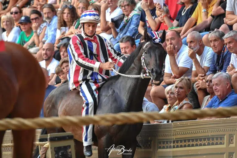 Palio di Siena del 16 agosto 2024, Istrice