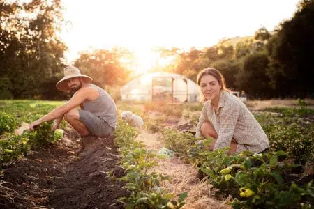 Giovani agricoltori, bando in Toscana per favorire l’imprenditoria Argricoltori giovani