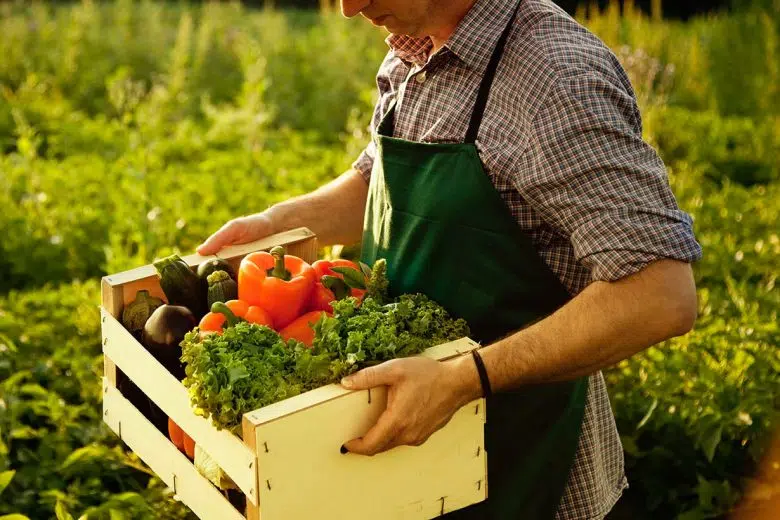 Agricoltura biologica, agricoltore con cassetta verdure