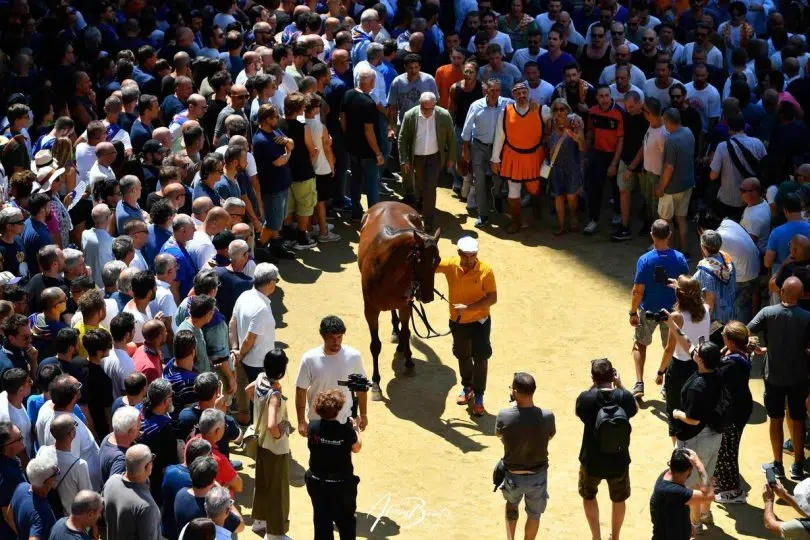palio-16-agosto-2024-assegnazione06