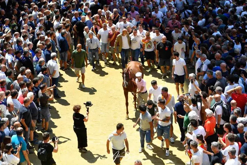 palio-16-agosto-2024-assegnazione07