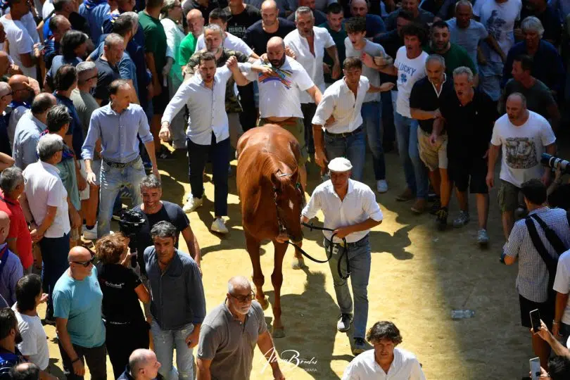 palio-16-agosto-2024-assegnazione09