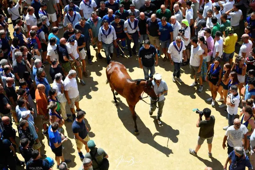 palio-16-agosto-2024-assegnazione11