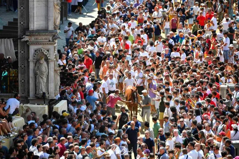 palio-16-agosto-2024-assegnazione14