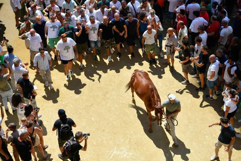 palio-16-agosto-2024-assegnazione15