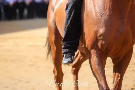 Le batterie della Tratta del Palio di Siena del 16 agosto 2024 – FOTO