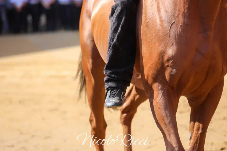 Le batterie della Tratta del Palio di Siena del 16 agosto 2024 – FOTO