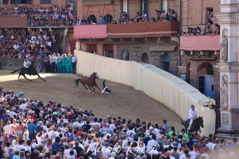 palio-16-agosto-2024-batterie18
