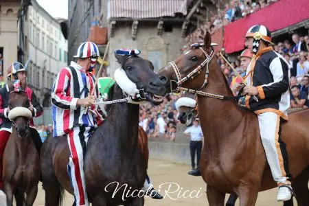 Palio di Siena, PD: tradizione, responsabilità e coerenza politica