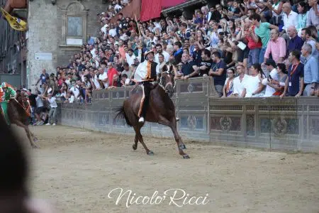 Palio di Siena del 16 AGOSTO 2024, TRIONFA la LUPA Palio di Siena del 16 agosto 2024, corsa
