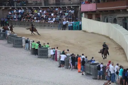 Palio di Siena del 16 agosto 2024: la prima giornata delle prove regolamentate – FOTO