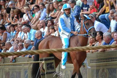 Palio di Siena del 16 agosto 2024: l’Onda vince la Prova generale