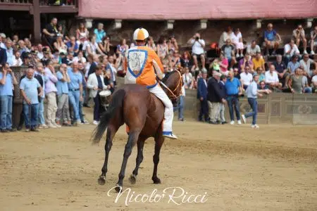 La Provaccia del Palio di Siena del 16 agosto 2024 – FOTO