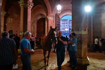 Palio di Siena del 16 agosto 2024: la seconda giornata delle prove regolamentate – FOTO Palio di Siena del 16 agosto 2024, seconda giornata Prove regolamentate (prove di notte)