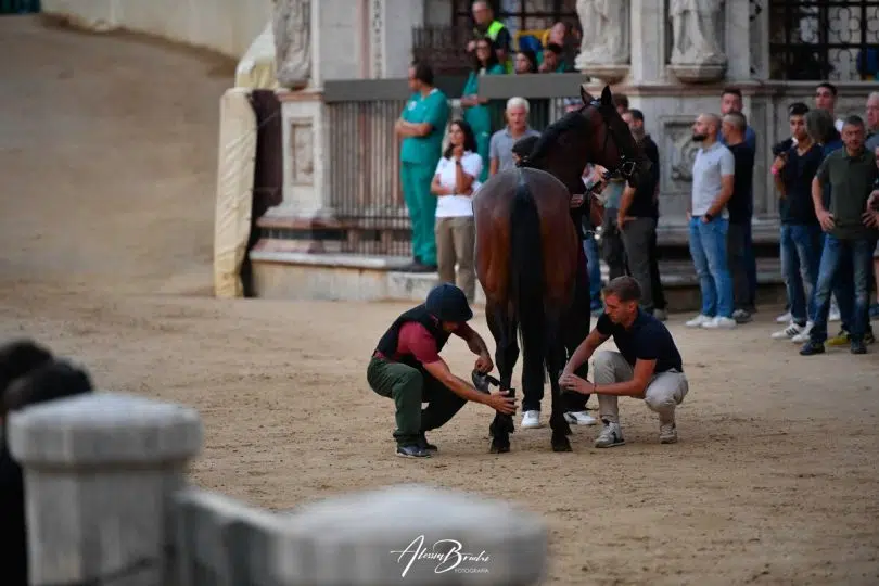 palio-16-agosto-2024-prove-regolamentate-seconda-giornata05