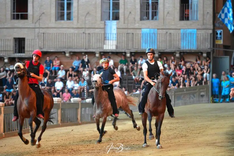 palio-16-agosto-2024-prove-regolamentate-seconda-giornata15