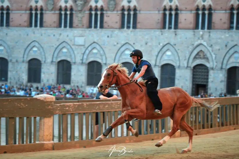 palio-16-agosto-2024-prove-regolamentate-seconda-giornata16