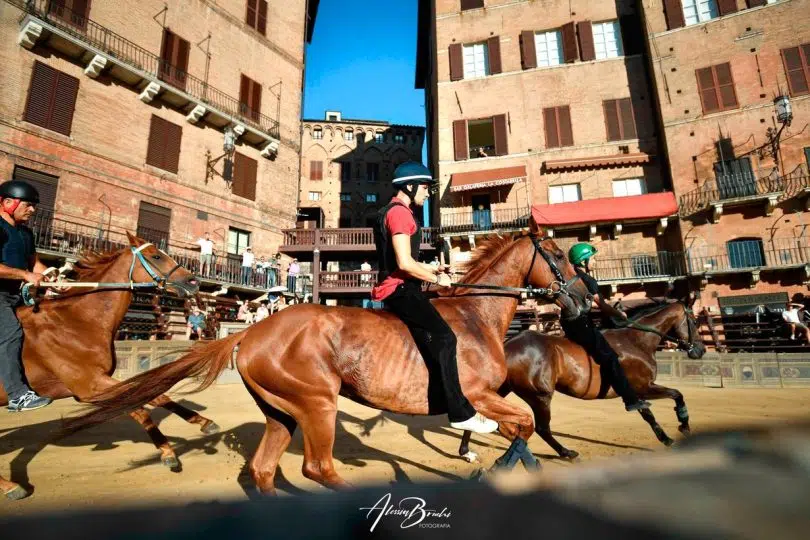 palio-16-agosto-2024-prove-regolamentate-seconda-giornata21
