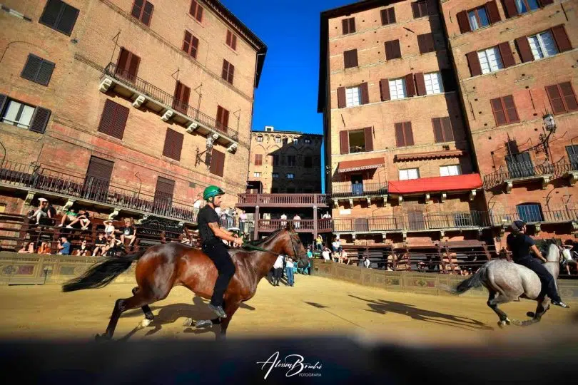 palio-16-agosto-2024-prove-regolamentate-seconda-giornata22