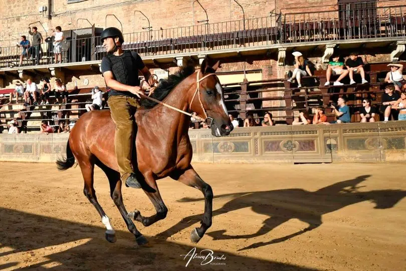 palio-16-agosto-2024-prove-regolamentate-seconda-giornata23