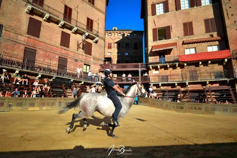 palio-16-agosto-2024-prove-regolamentate-seconda-giornata24