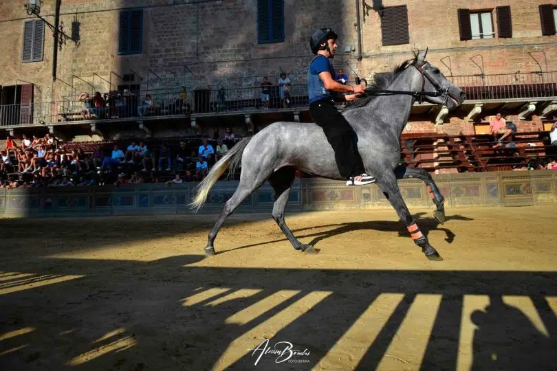 palio-16-agosto-2024-prove-regolamentate-seconda-giornata25