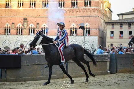 La terza prova del Palio di Siena del 16 agosto 2024 – FOTO Terza prova Palio di Siena del 16 agosto 2024