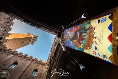 Palio di Siena, nominati i pittori dei drappelloni 2026 Drappellone Palio di Siena del 16 agosto 2024, Riccardo Guasco