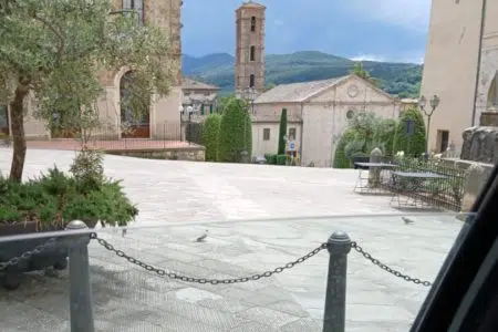 Sarteano, partito il piano di prevenzione ecologico per il contenimento dei piccioni Sarteano, piazza, contenimento piccioni