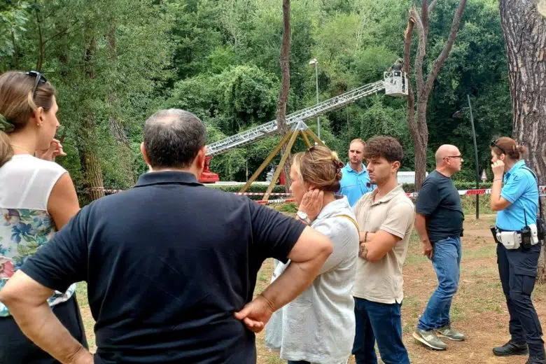 Poggibonsi, cade ramo di un pino al parco del Vallone: due feriti Parco del Vallone a Poggibonsi, caduta ramo