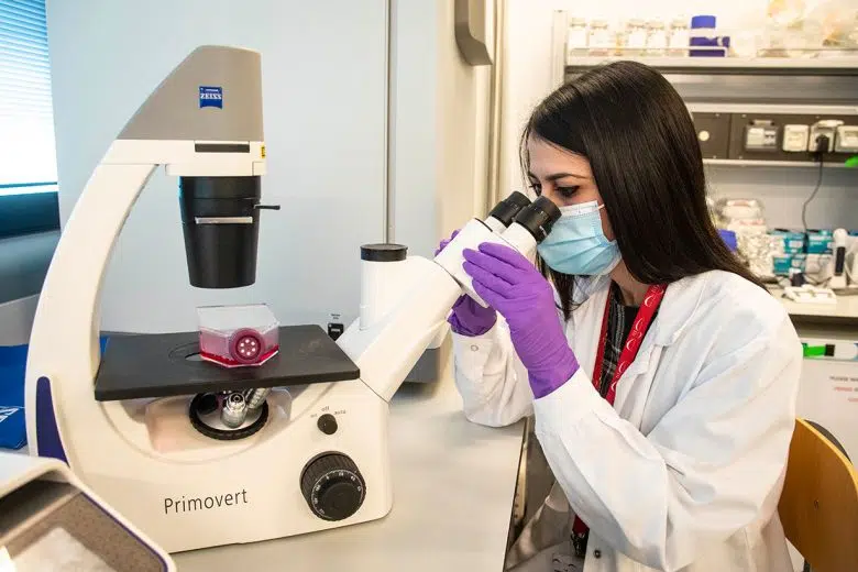 TLS, ricercatrice al microscopio