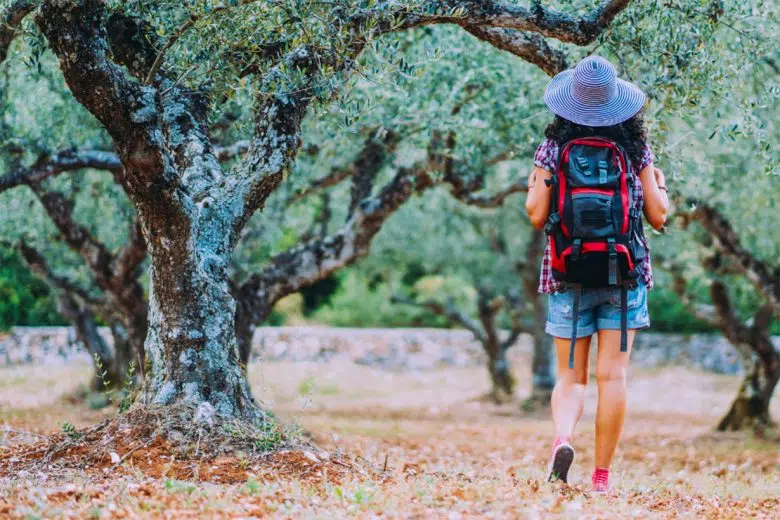 Camminata tra gli Olivi a Montepulciano, edizione 2024 Camminata tra gli olivi, ragazza