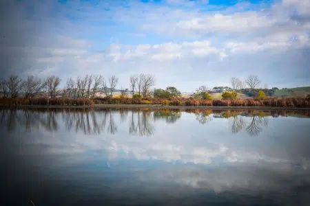 Lago di Montepulciano, giornata per conoscere le migrazioni degli uccelli Lago di Montepulciano