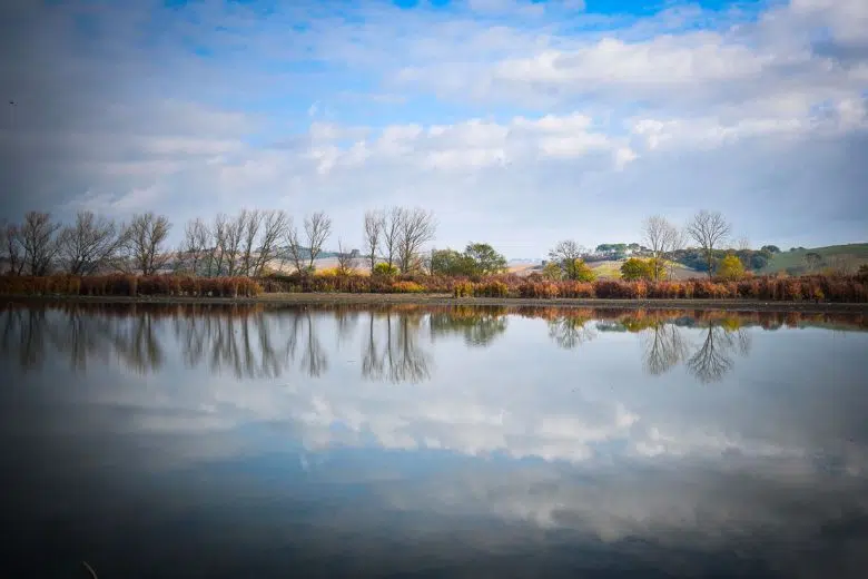 Lago di Montepulciano, giornata per conoscere le migrazioni degli uccelli Lago di Montepulciano