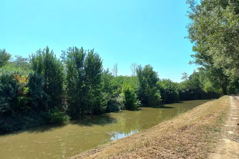 Consorzio di Bonifica 6 Toscana Sud, intervento sul torrente Arbia Torrente Arbia, Consorzio di Bonifica