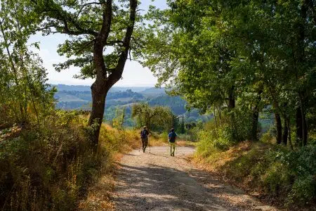 Segnaletica turistica Via Francigena, Comune di Colle vince il bando Via Francigena in Valdelsa