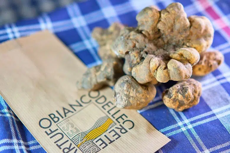 Tartufo Bianco delle Crete Senesi