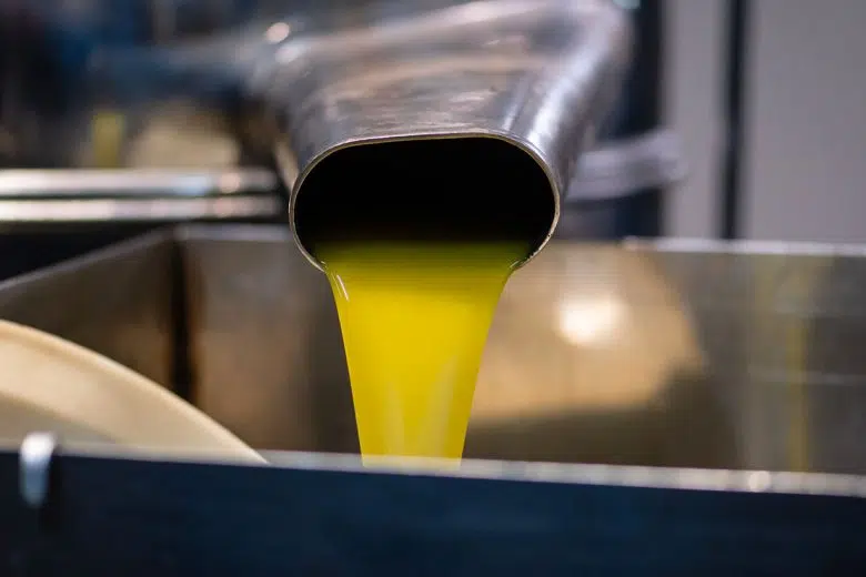 Olio di oliva, frantoio