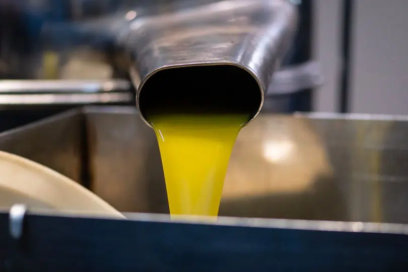 Olio di oliva, frantoio